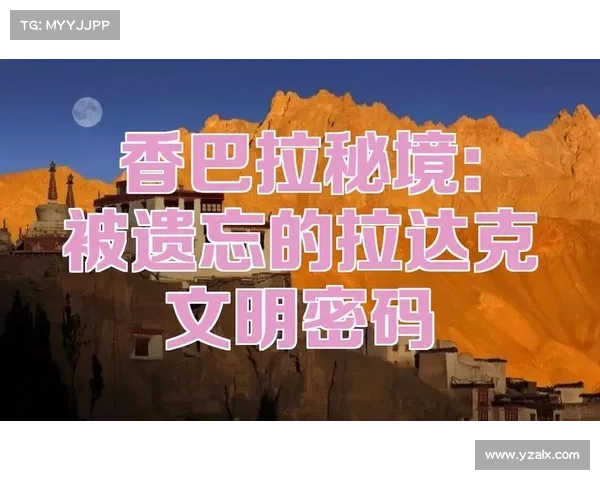 揭开历史的面纱探寻被遗忘的秘密与隐藏的真相 揭开历史的面纱探寻被遗忘的秘密与隐藏的真相