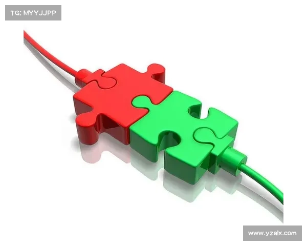 安联赞助商案例分析及其对品牌营销策略的启示与实践探讨