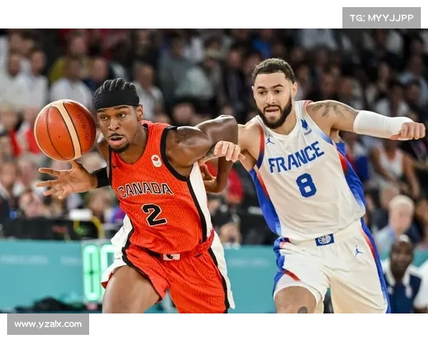 如何全面分析亚历山大复出后的比赛表现及其对球队的影响