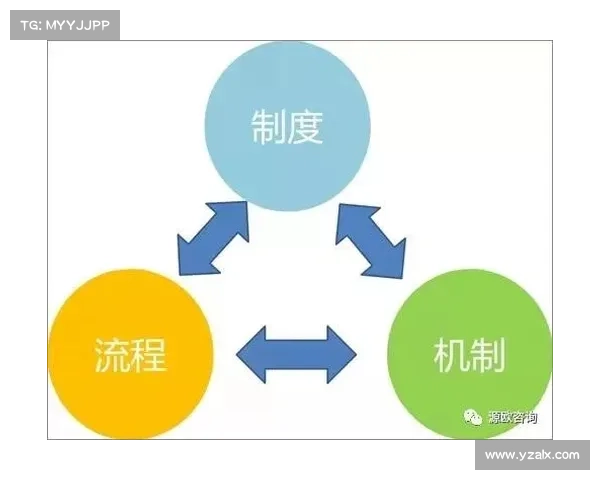 如何通过精细化管理提升足球俱乐部财务流程优化效果