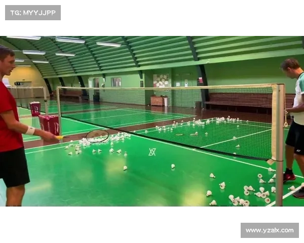 安赛龙澳大利亚公开赛反手斜线扣杀力克对手勇夺冠军